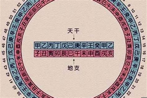 2024年什么年